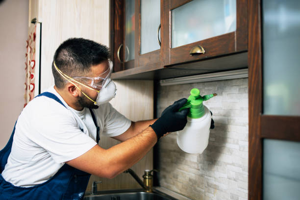 Pest Prevention Services in Grasonville, MD