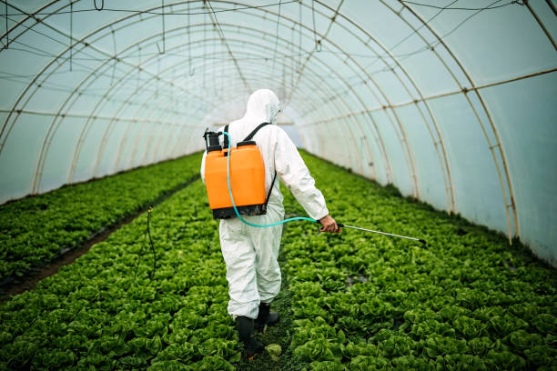 Best Pest Control Near Me  in Grasonville, MD