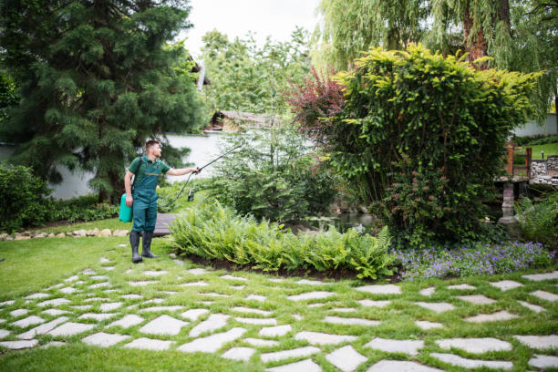 Best Wasp Removal Services  in Grasonville, MD