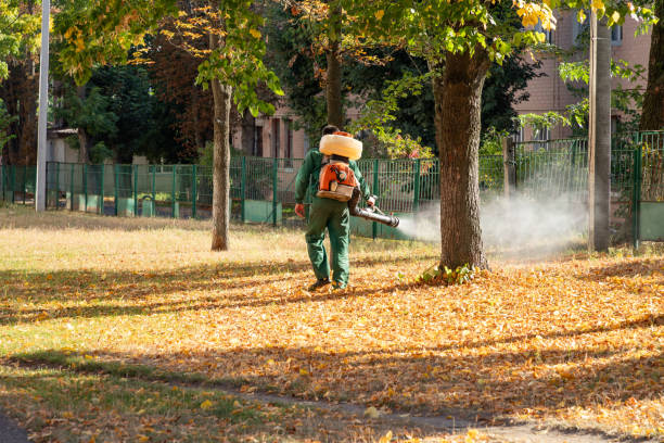 Best Cockroach Control Services  in Grasonville, MD