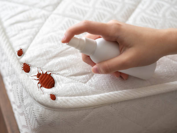 Best Best Pest Control Companies  in Grasonville, MD