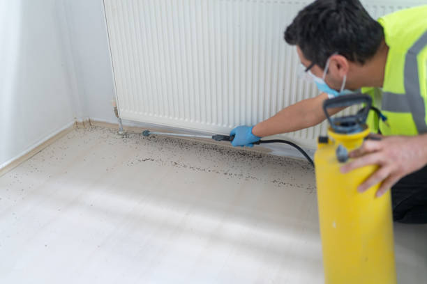 Best Pest Prevention Services  in Grasonville, MD
